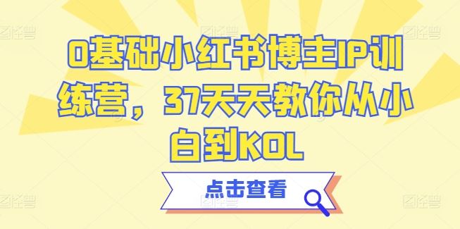 0基础小红书博主IP训练营,37天天教你从小白到KOL-志拓网创