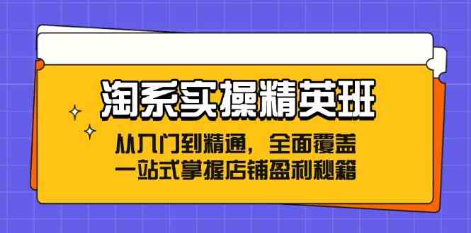 淘系实操精英班:从入门到精通,全面覆盖,一站式掌握店铺盈利秘籍-志拓网创