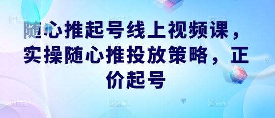随心推起号线上视频课,实操随心推投放策略,正价起号-志拓网创