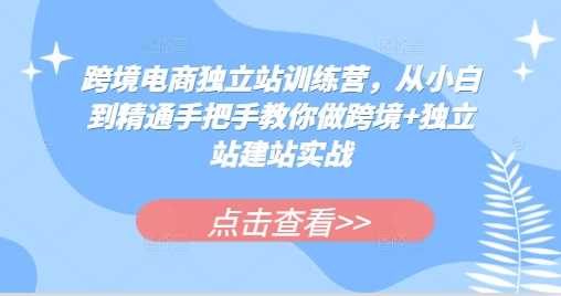 跨境电商独立站训练营,从小白到精通手把手教你做跨境+独立站建站实战-志拓网创