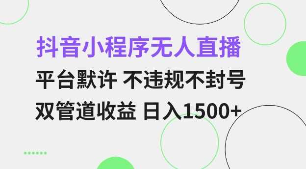 抖音小程序无人直播 平台默许 不违规不封号 双管道收益 日入多张 小白也能轻松操作【仅揭秘】-志拓网创