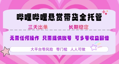 2025年B站风口带货项目 仅需提供账号 全程托管 轻松月入1w+-志拓网创