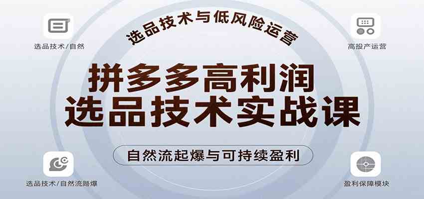 拼多多高利润选品技术实战课,手把手教学自然流高投产起爆,实现低风险可持续盈利-志拓网创