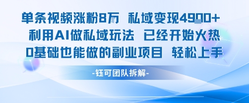 单条视频私域变现4.9k+利用AI做私域玩法 已经开始火热0基础也能做的副业项目轻松上手-志拓网创