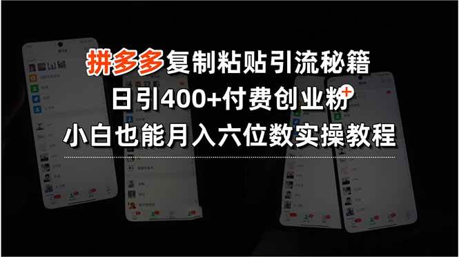 (15613期)拼多多复制粘贴引流秘籍,日引400+付费创业粉,小白也能月入六位数实操…-志拓网创