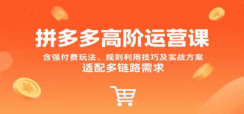 拼多多高阶运营课,含强付费玩法、规则利用技巧及实战方案,适配多链路需求-志拓网创