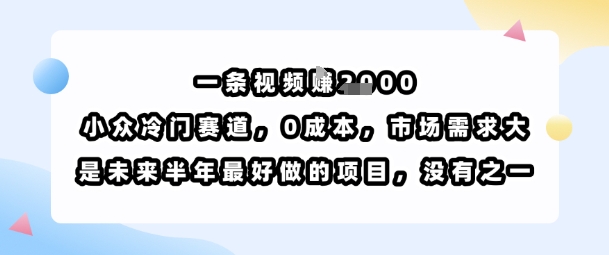 一条视频挣1k,小众冷门赛道,0成本,市场需求大,是未来半年最好做的项目,没有之一-志拓网创