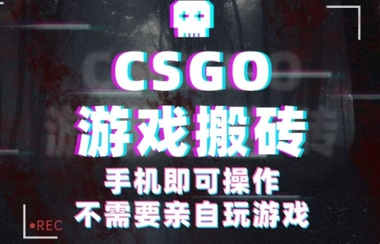 CSGO游戏挂G捡漏,单日扫货5张+,年底小高峰上车可吃肉,手机即可操作,兼职副业创业网创【揭秘】-志拓网创