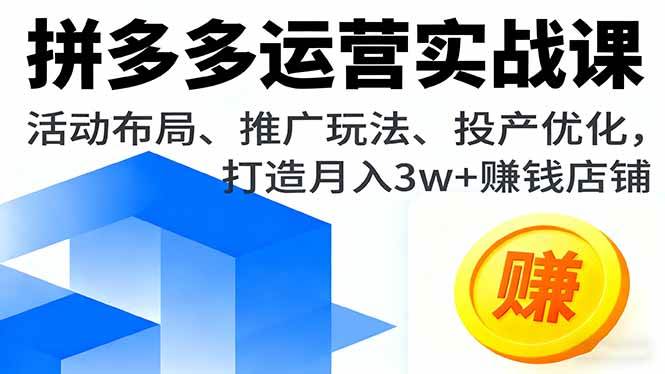 (16135期)拼多多运营实战课,活动布局、推广玩法、投产优化,打造月入3w+赚钱店铺