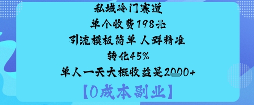 私域冷门赛道:单个收费198米引流模板简单人群精准转化45%单人一天大概收益是1k+-志拓网创