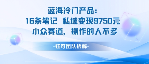 蓝海项目:16条笔记私域变现9750米小众赛道操作的人不多-志拓网创