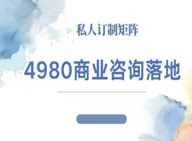 4980商业咨询师落地课程-ip运营高客单教程-志拓网创
