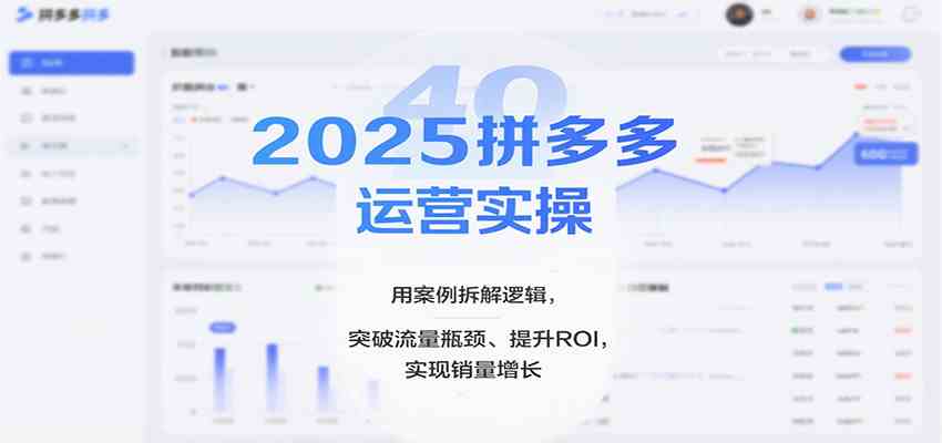 2025拼多多运营实操,用案例拆解逻辑,突破流量瓶颈、提升ROI,实现销量增长-志拓网创