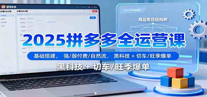 2025拼多多全运营课:基础搭建,强/弱付费/自然流,黑科技 + 切车/旺季爆单-志拓网创