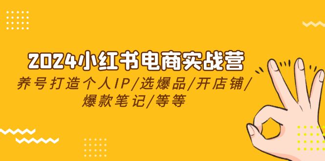 2024小红书电商实战营，养号打造IP/选爆品/开店铺/爆款笔记/等等（24节）-志拓网创