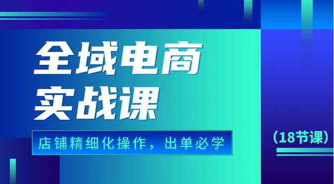 全域电商实战课，个人店铺精细化操作流程，出单必学内容（18节课）-志拓网创