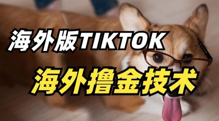 抖音海外版tiktok撸金技术，这个风口行业，赚钱真的不难【揭秘】-志拓网创