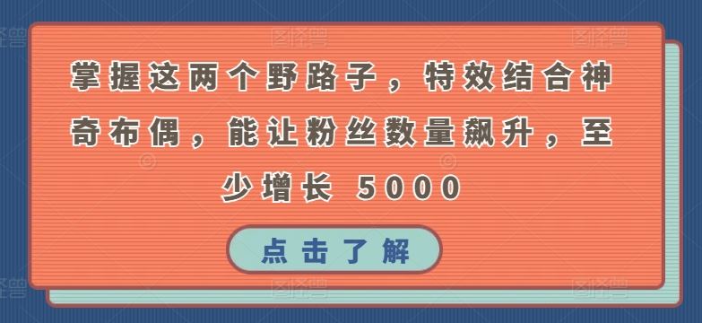 掌握这两个野路子，特效结合神奇布偶，能让粉丝数量飙升，至少增长 5000【揭秘】-志拓网创