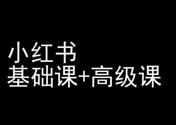 小红书基础课+高级课-小红书运营教程-志拓网创
