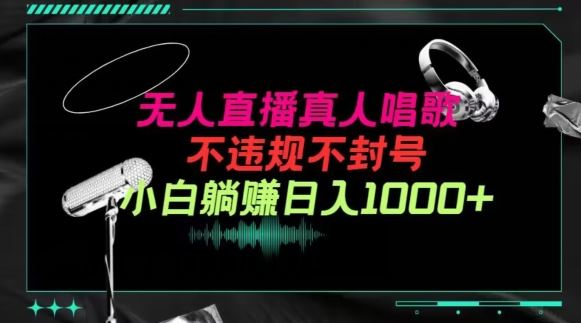 抖音24小时无人直播音乐，不违规，不封号纯撸音浪，小白实操当天日入1000+【揭秘】-志拓网创