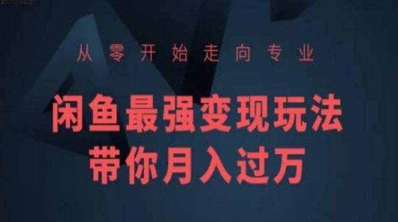 从零开始走向专业，闲鱼最强变现玩法带你月入过万-志拓网创
