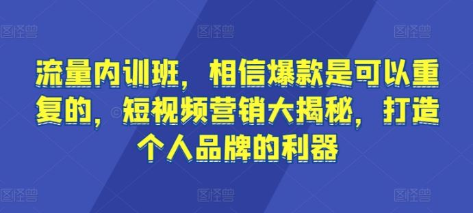 流量内训班，相信爆款是可以重复的，短视频营销大揭秘，打造个人品牌的利器-志拓网创