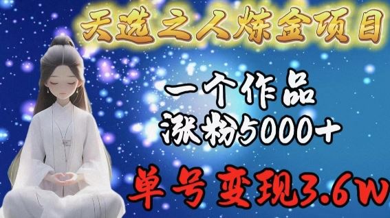 天选之人炼金项目，一个作品涨粉5000+，单号变现3.6w【揭秘】-志拓网创