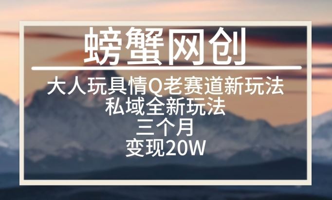 大人玩具情Q用品赛道私域全新玩法，三个月变现20W，老项目新思路【揭秘】-志拓网创