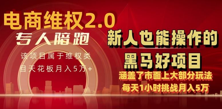 电商维权 4.0 如何做到月入 5 万+每天 1 小时新人也能快速上手【仅揭秘】-志拓网创