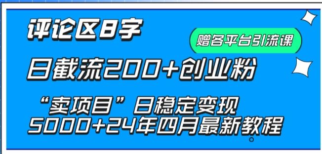 抖音评论区8字日截流200+创业粉 “卖项目”日稳定变现5000+【揭秘】-志拓网创