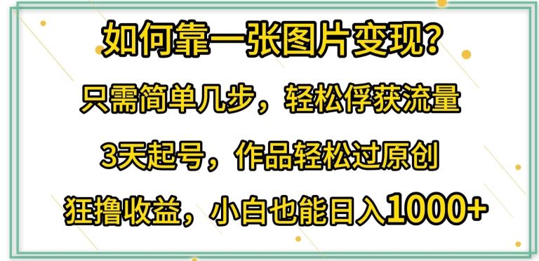 如何靠一张图片变现?只需简单几步，轻松俘获流量，3天起号，作品轻松过原创【揭秘】-志拓网创