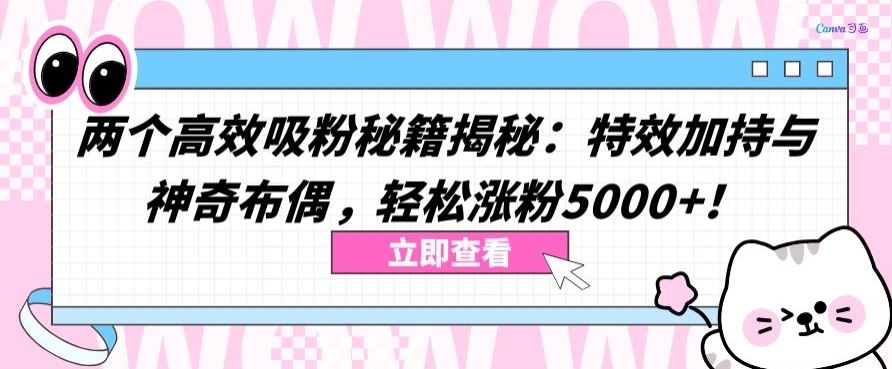 两个高效吸粉秘籍揭秘：特效加持与神奇布偶，轻松涨粉5000+【揭秘】-志拓网创