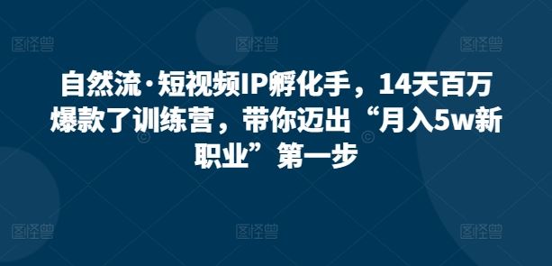 自然流·短视频IP孵化手，14天百万爆款了训练营，带你迈出“月入5w新职业”第一步-志拓网创
