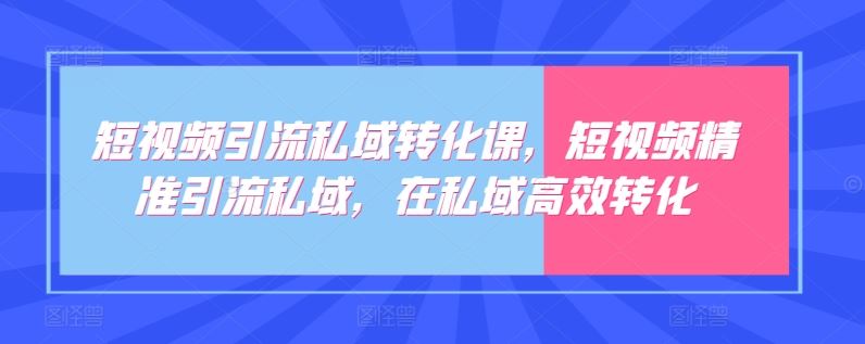 短视频引流私域转化课，短视频精准引流私域，在私域高效转化-志拓网创