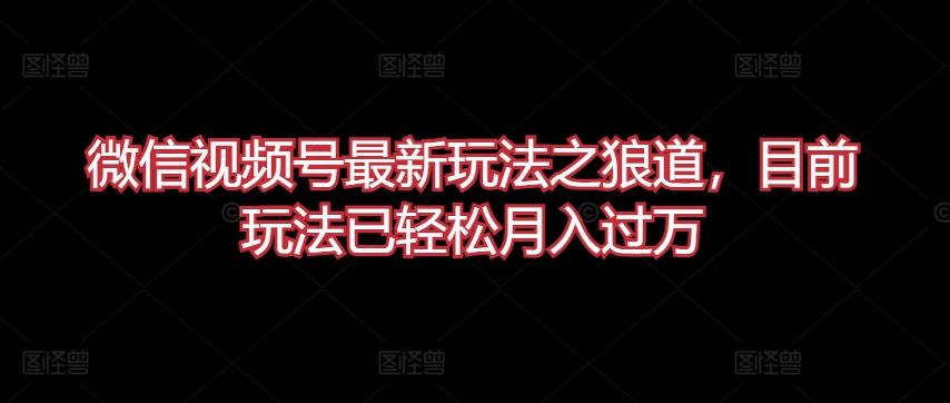 微信视频号最新玩法之狼道，目前玩法已轻松月入过万【揭秘】-志拓网创