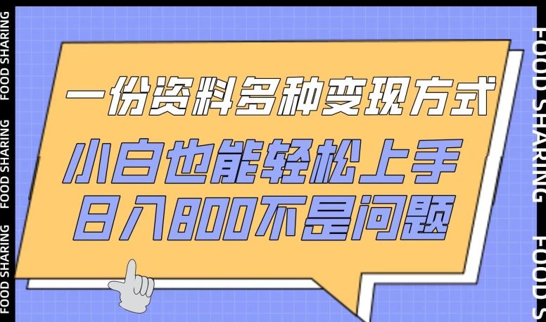 一份资料多种变现方式，小白也能轻松上手，日入800不是问题【揭秘】-志拓网创