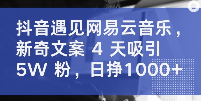 抖音遇见网易云音乐，新奇文案 4 天吸引 5W 粉，日挣1000+【揭秘】-志拓网创