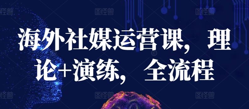 海外社媒运营课，理论+演练，全流程-志拓网创