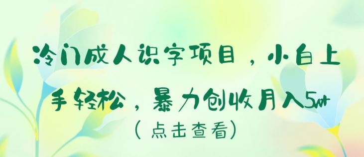 冷门成人识字项目，小白上手轻松，暴力创收月入5w+【揭秘】-志拓网创