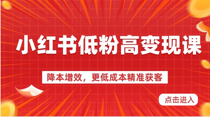 小红书低粉高变现课-降本增效，更低成本精准获客，小红书必爆的流量密码-志拓网创
