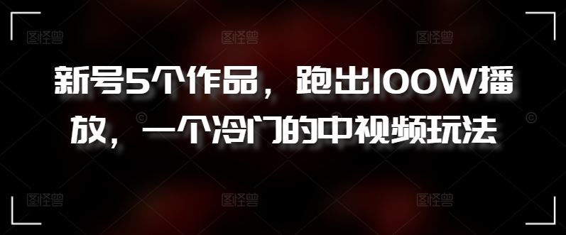 新号5个作品，跑出100W播放，一个冷门的中视频玩法【揭秘】-志拓网创