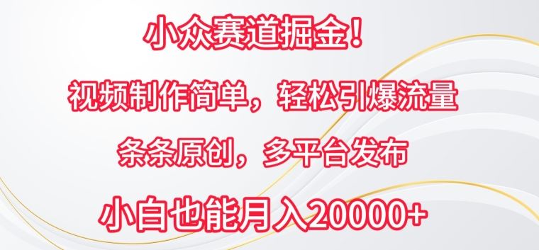 小众赛道掘金，视频制作简单，轻松引爆流量，条条原创，多平台发布【揭秘】-志拓网创