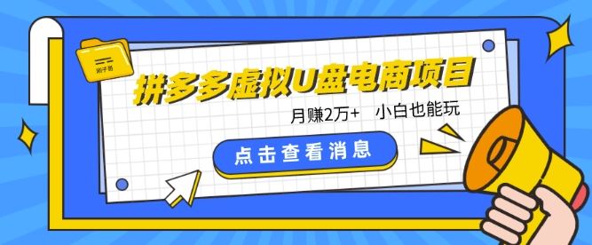 拼多多虚拟U盘电商红利项目：月赚2万+，新手小白也能玩-志拓网创