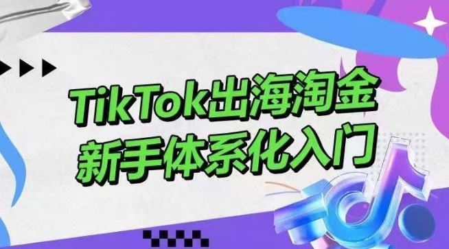 TikTok出海淘金，新手体系化入门，零基础快速入门，掌握短视频、直播带货等引流到变现的知识-志拓网创