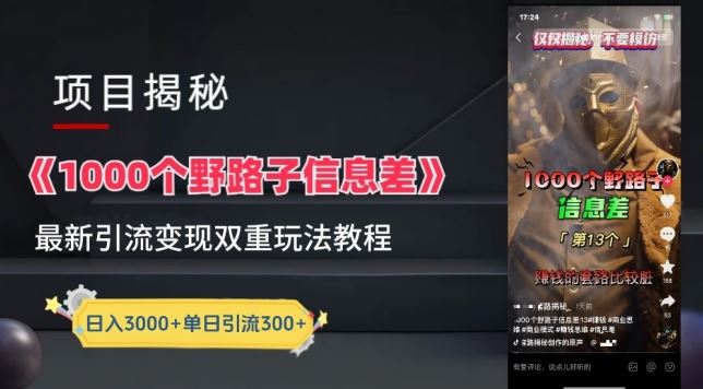 一千个野路子信息差最新玩法教程-变现+引流的玩法具体拆解【揭秘】-志拓网创