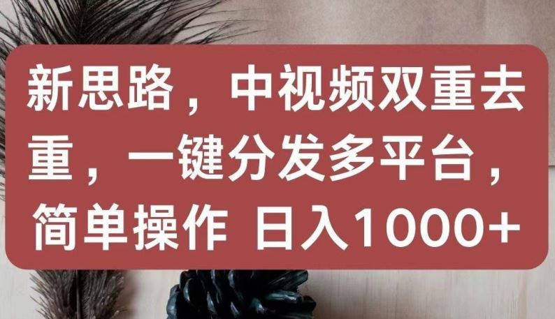 新思路，中视频双重去重，一键分发多平台，简单操作，日入1000+【揭秘】-志拓网创