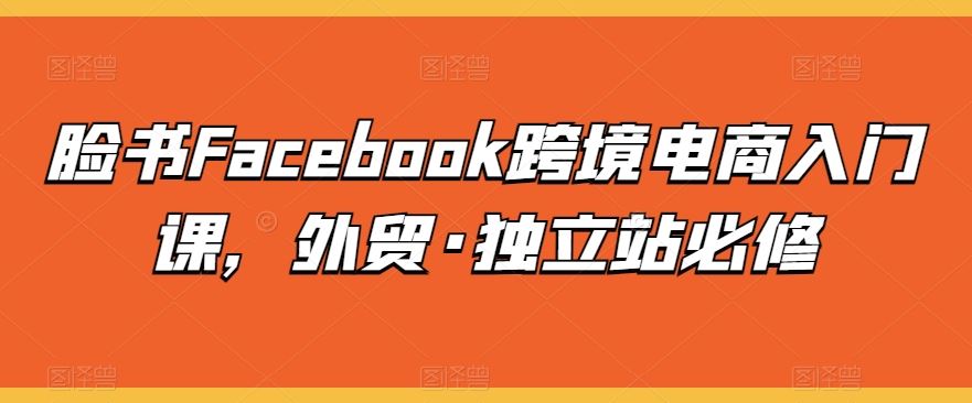 脸书Facebook跨境电商入门课，外贸·独立站必修-志拓网创