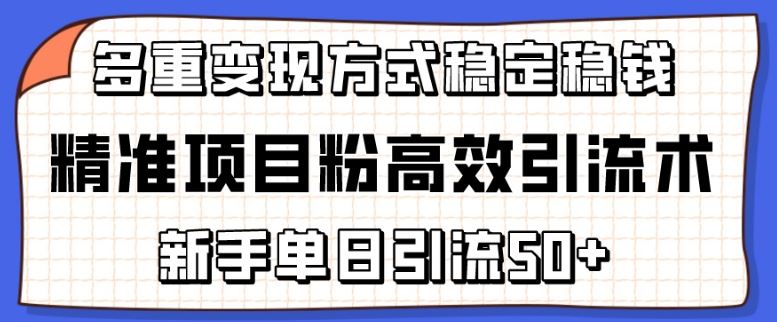 精准项目粉高效引流术，新手单日引流50+，多重变现方式稳定赚钱【揭秘】-志拓网创