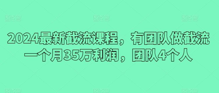 2024最新截流课程，有团队做截流一个月35万利润，团队4个人-志拓网创