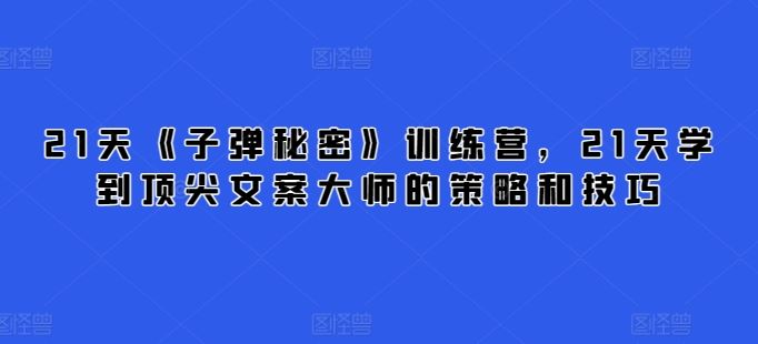 21天《子弹秘密》训练营，21天学到顶尖文案大师的策略和技巧-志拓网创